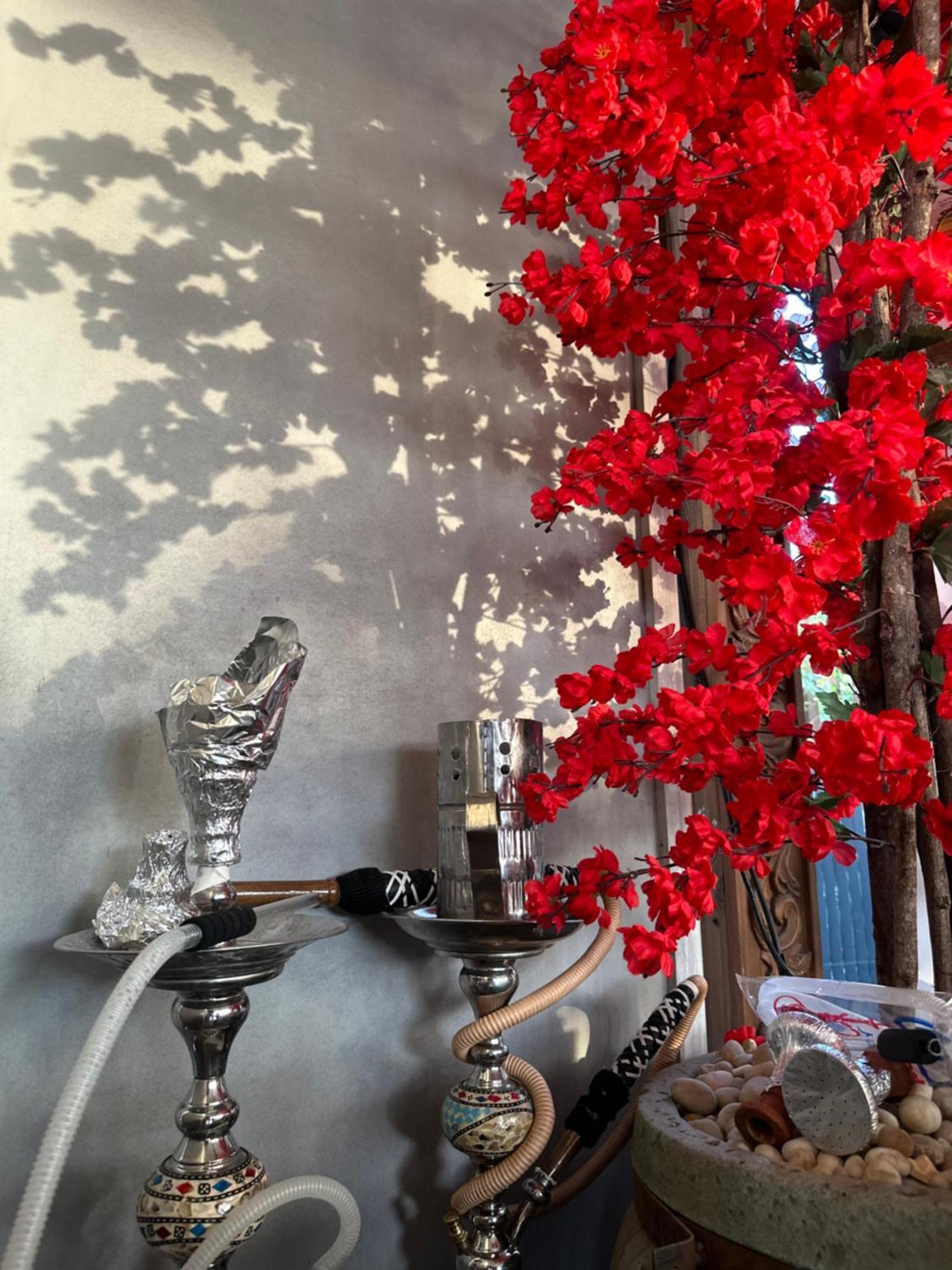 Modern 1-Bedroom Apartment In Zamalek Visits Allowed El El Cairo Exterior foto